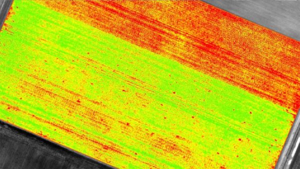 PIX4D mapper - Image 6