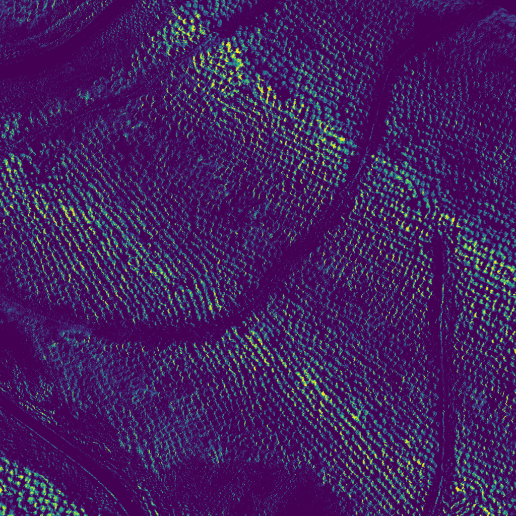 Multispectral Course | Drone Pilot Academy